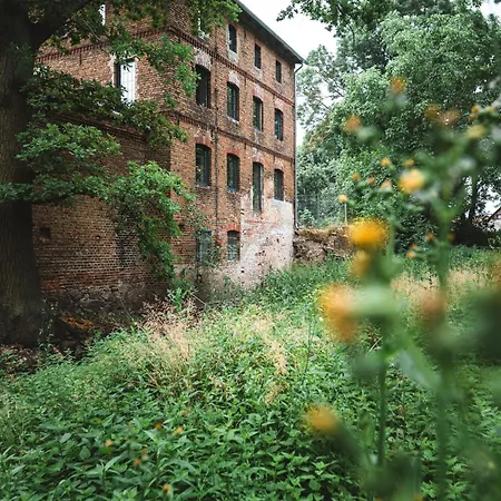 In Der Alten Wassermuehle